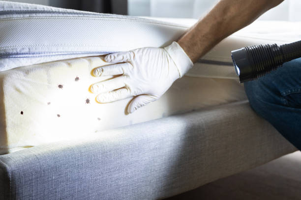 Pest Prevention Services in Minneota, MN