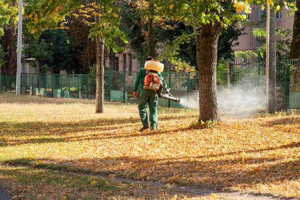 Insect Control in Minneota, MN